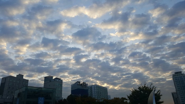 하늘 노을 구름