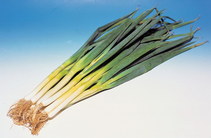 음식