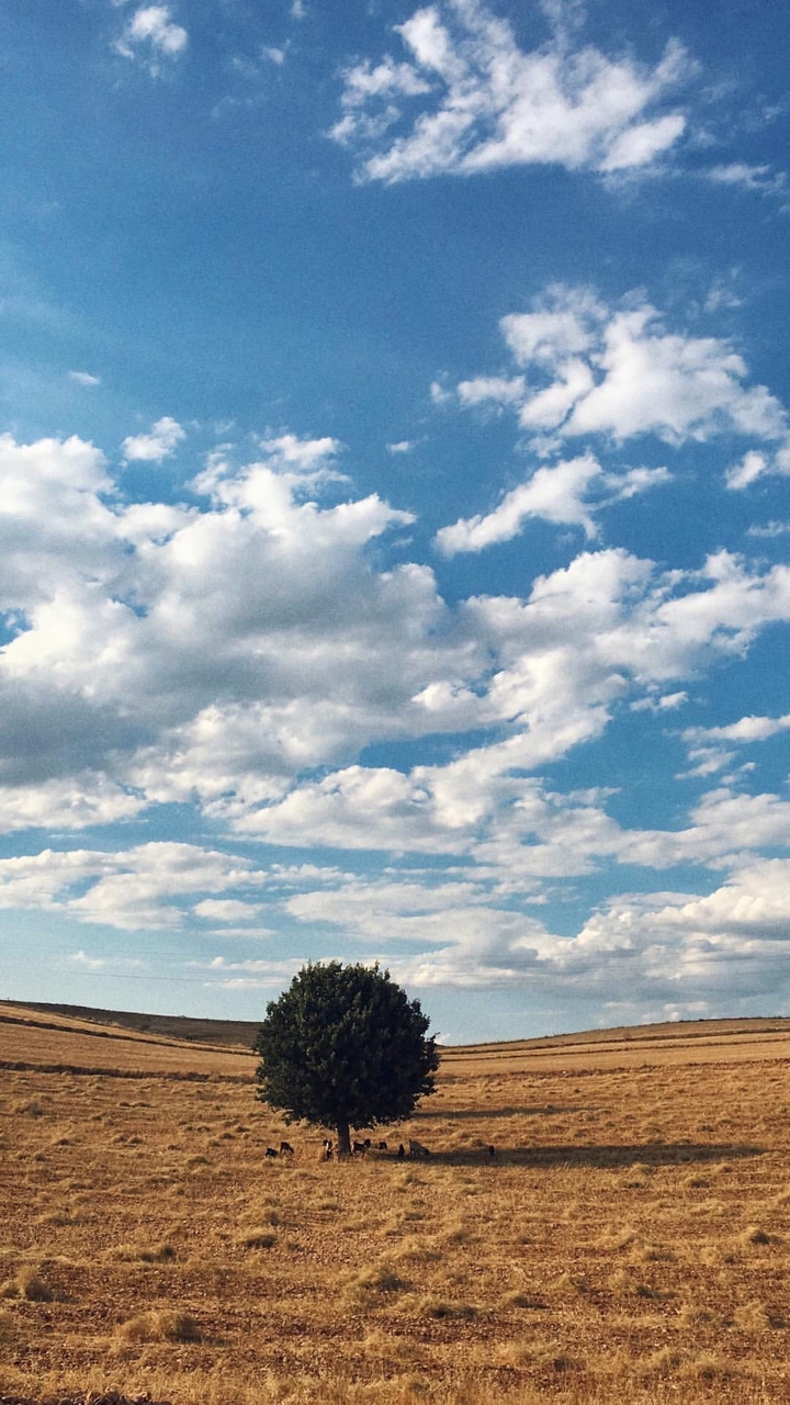 sky