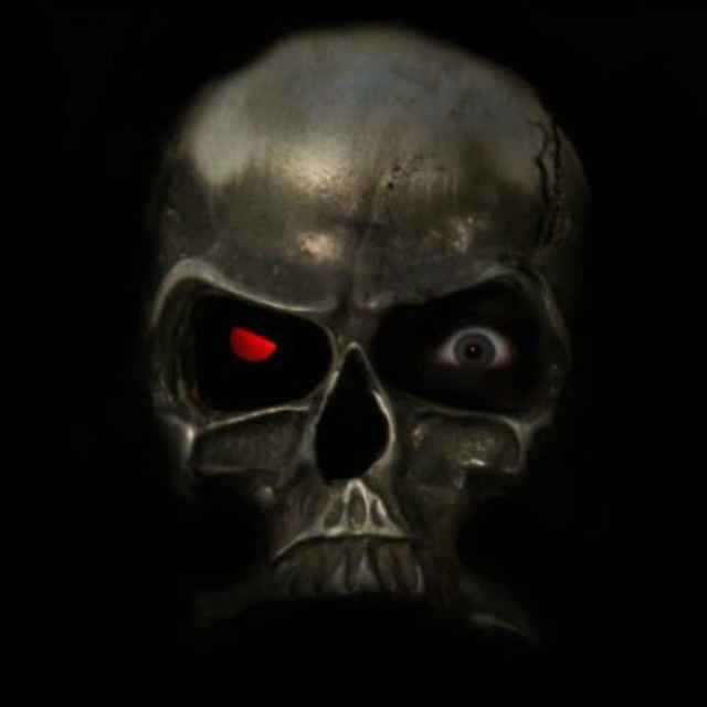 Skull