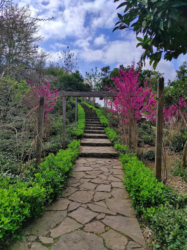 Orange Garden