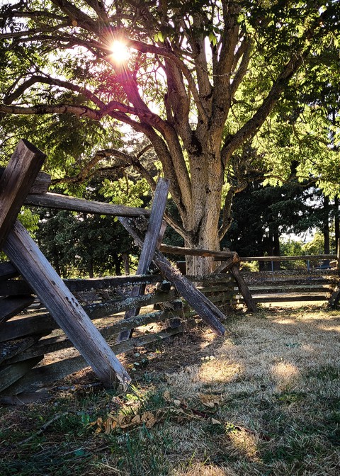 Warm, Summer Afternoon