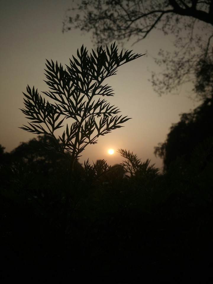 #ari_clicked