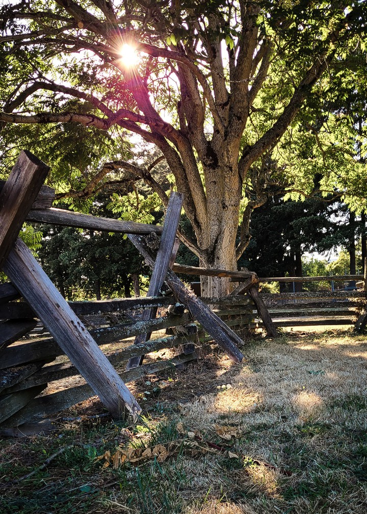 Warm, Summer Afternoon