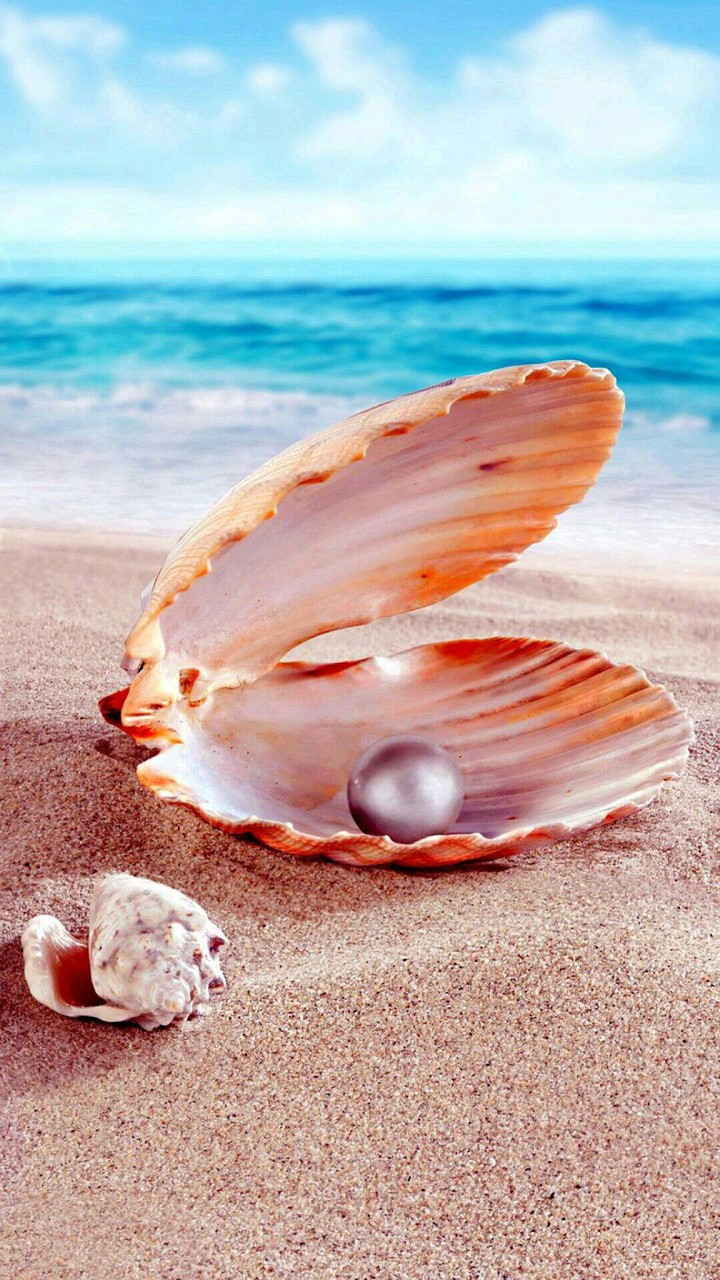 Konij sompod