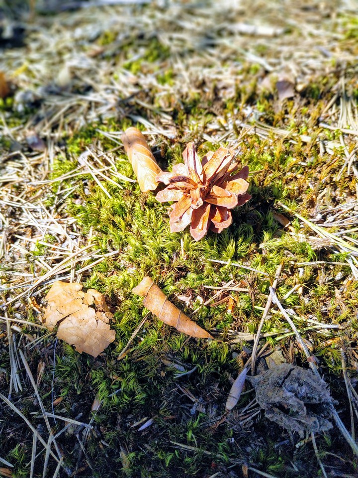 Nature