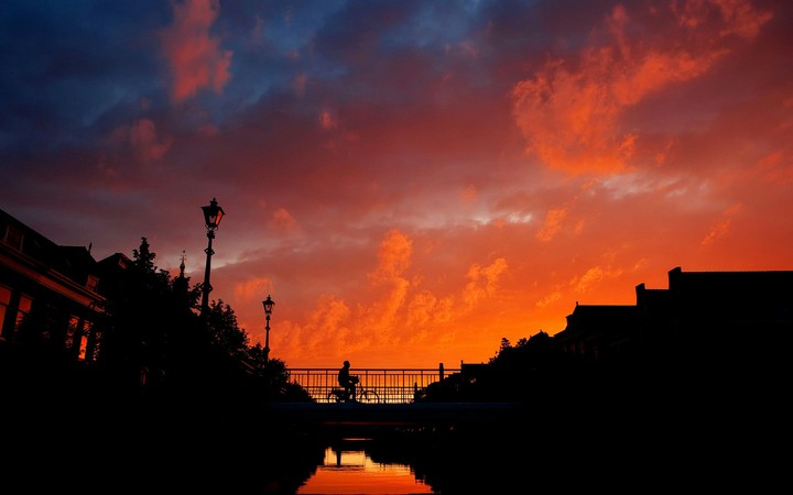 orangy evening