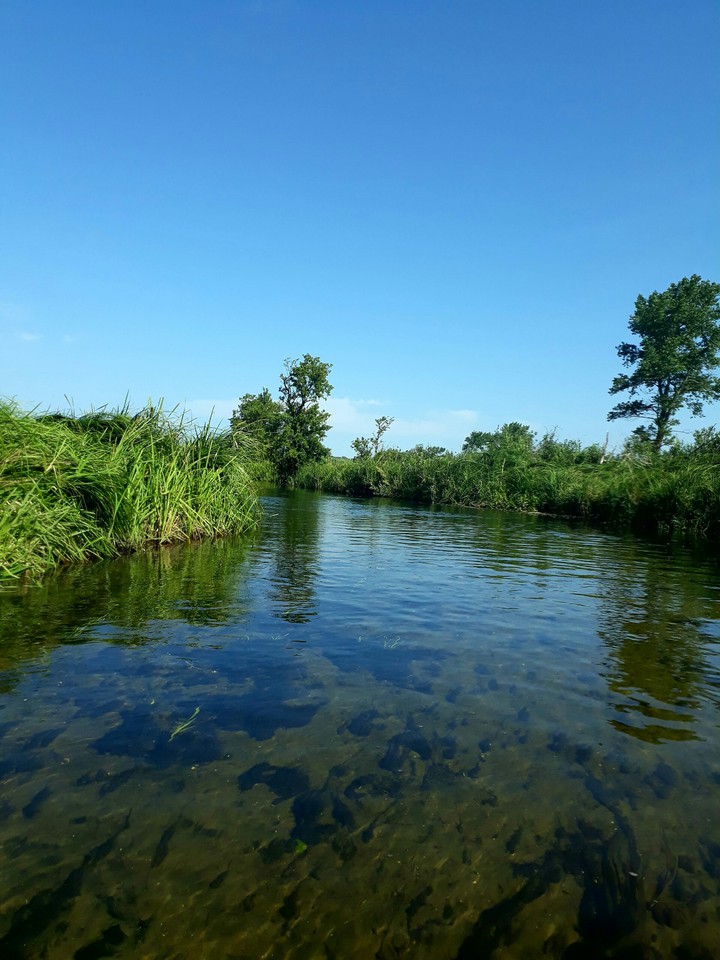 trip on canoe