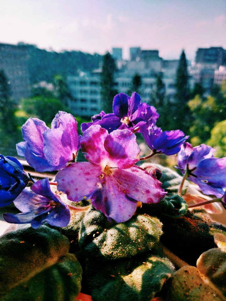 Colours that brighten your life