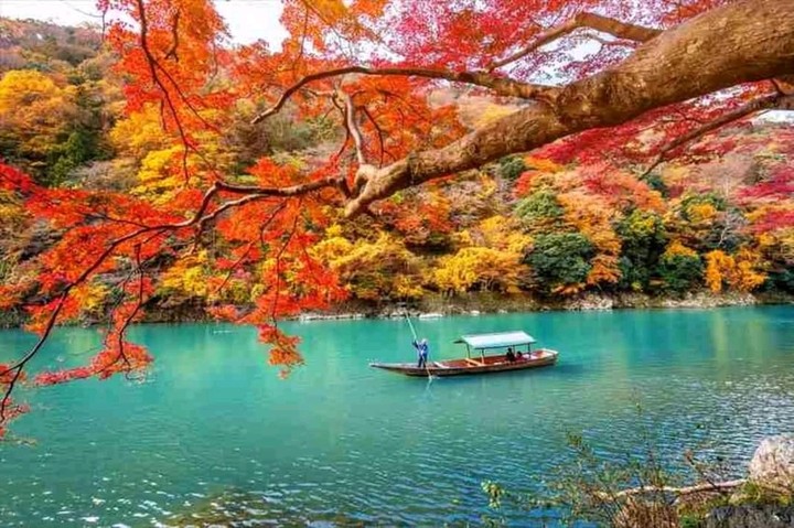 nature