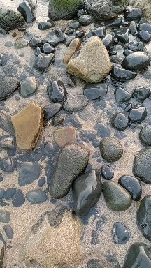 파도