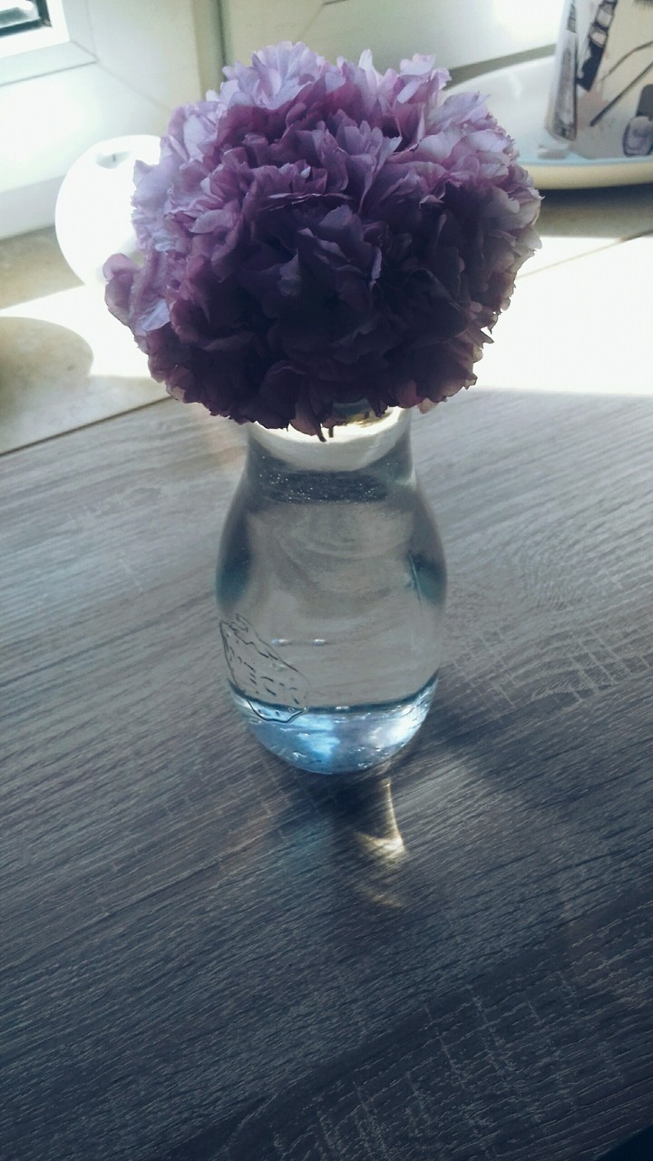 Deko/Vase mit blumen