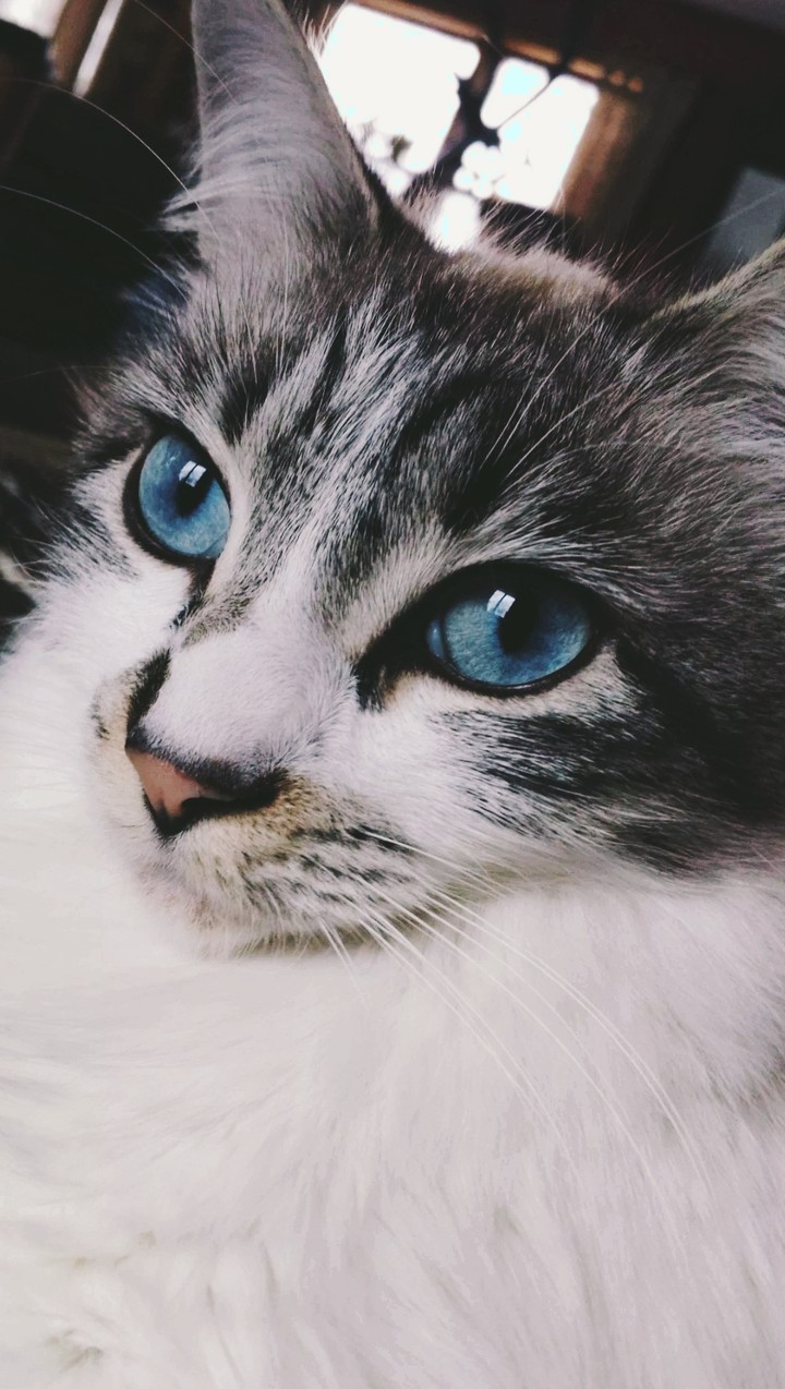 ❤️❤️❤️