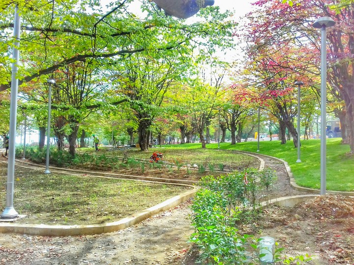 My Photo ❤