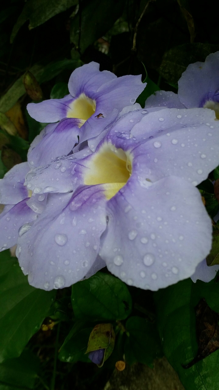 Nature