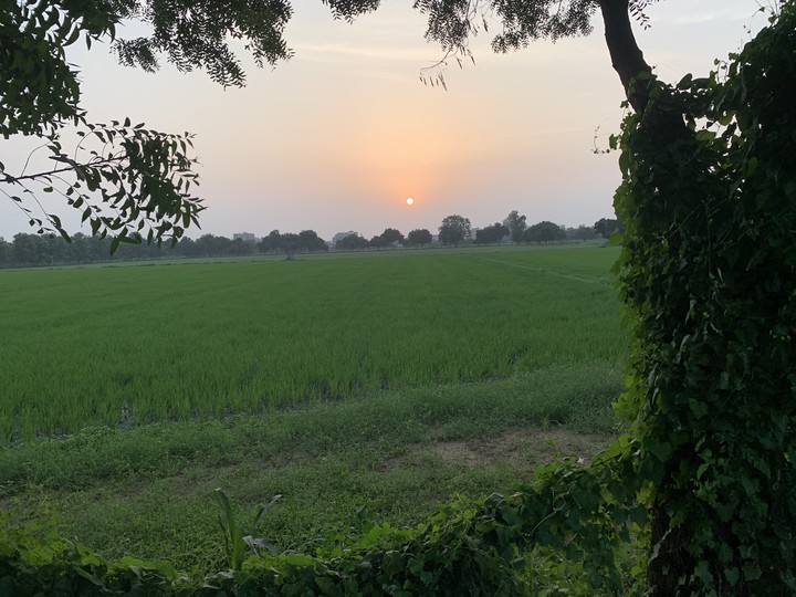 Nature