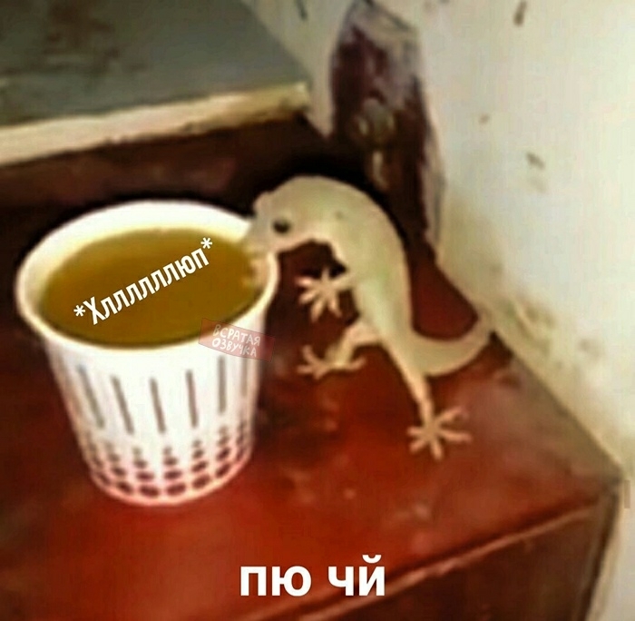 чи