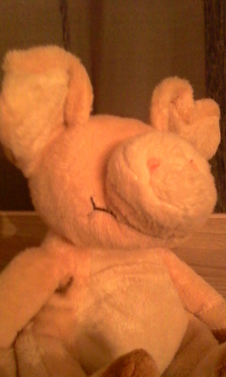 Pig♥