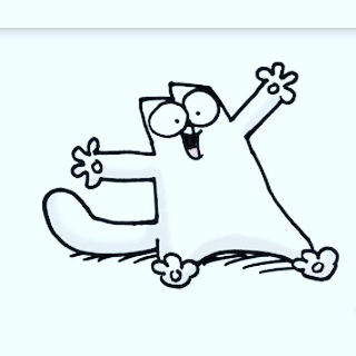 fav cat Simon