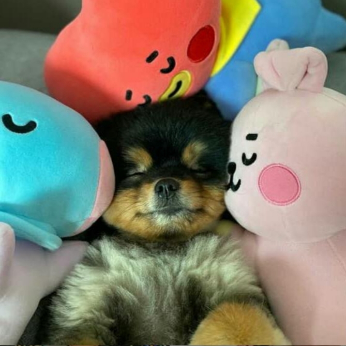 taenniee ...tae's baby