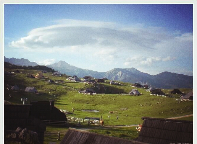 Velika planina
