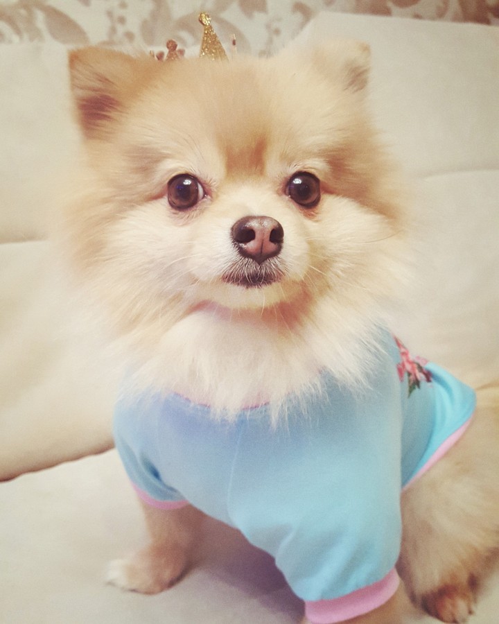 princess