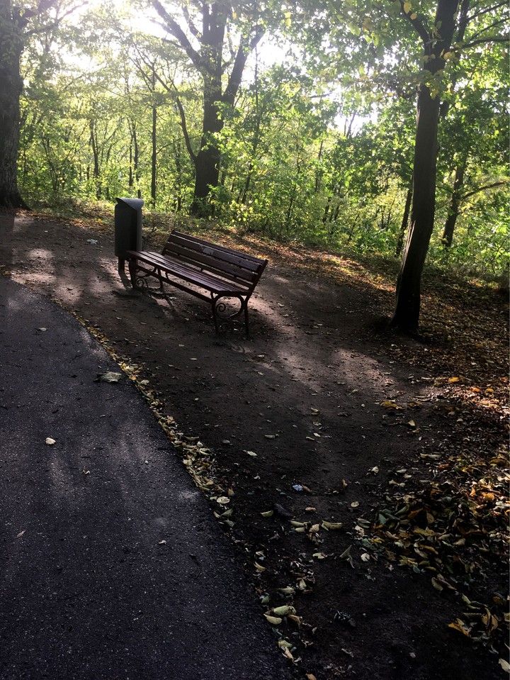 осень