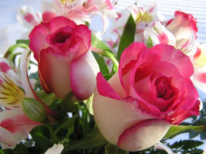 flower