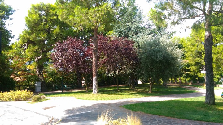 verde parco