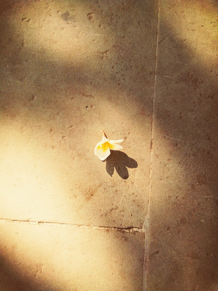 alone