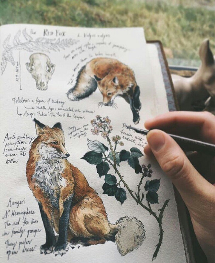 art fox