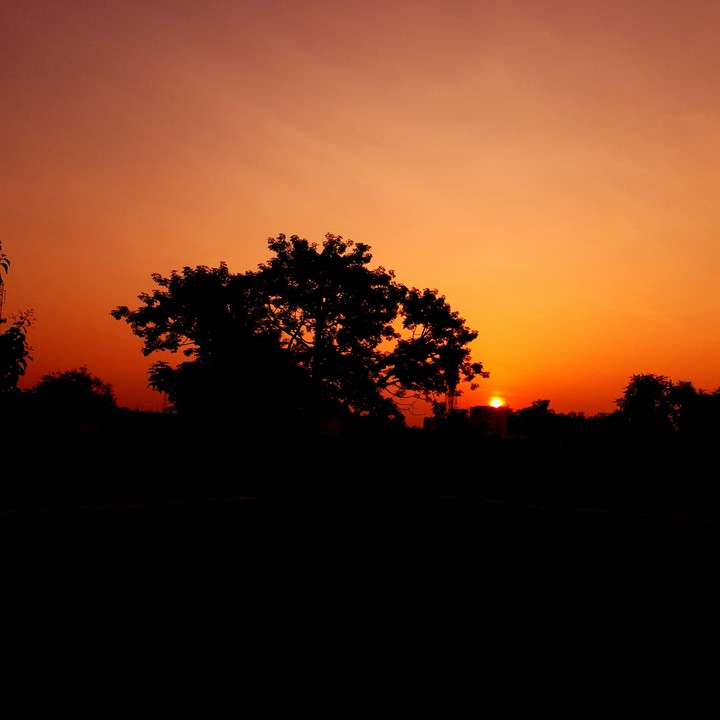 rising sun