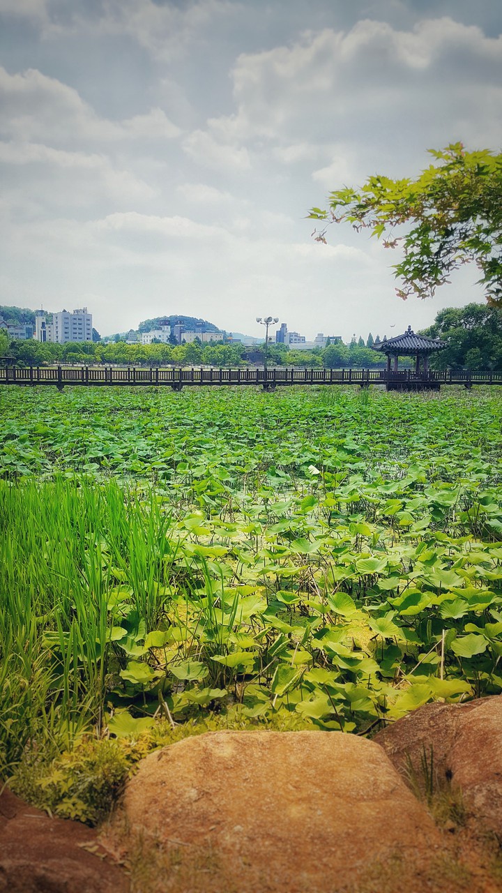 The lake
