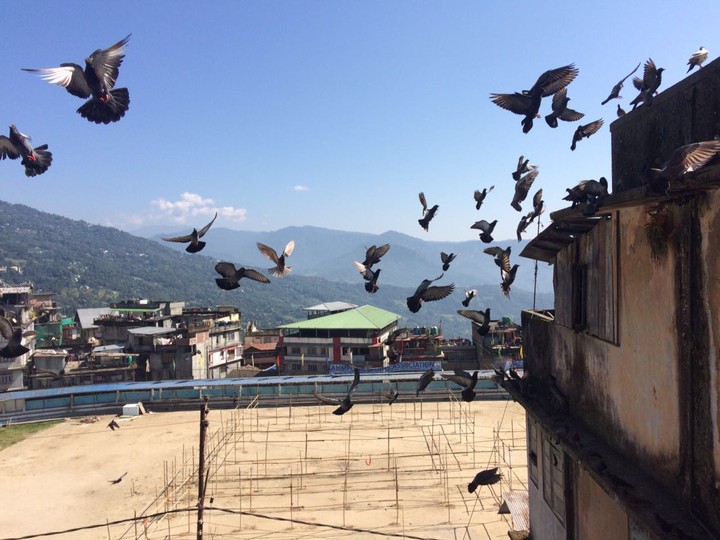 Rooftop in a resort in the Himalayan foothills