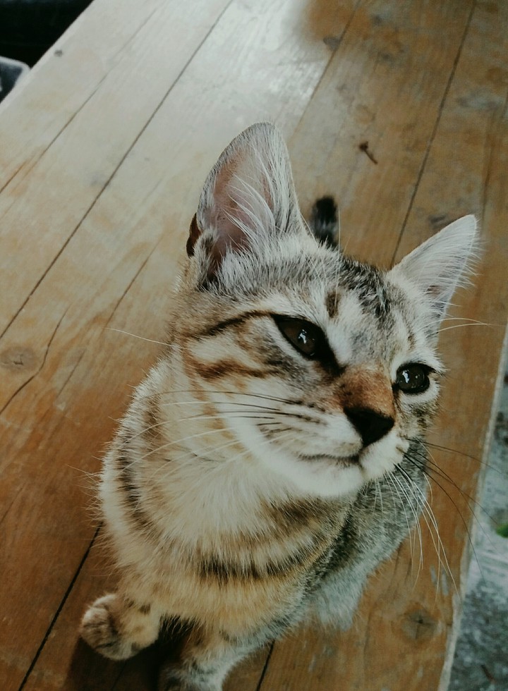 cute♡♡♡