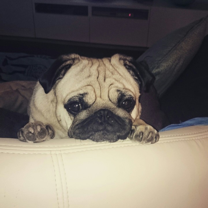 Carly