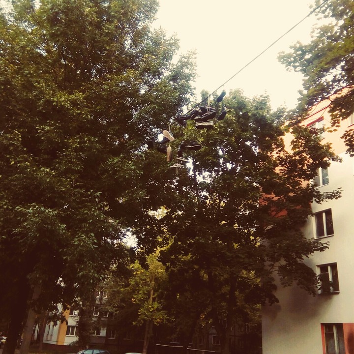 Необычно встретить такое во дворе дома