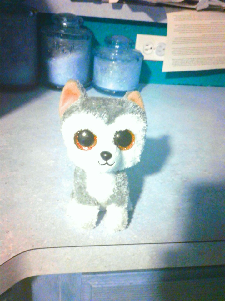 Cool wolf