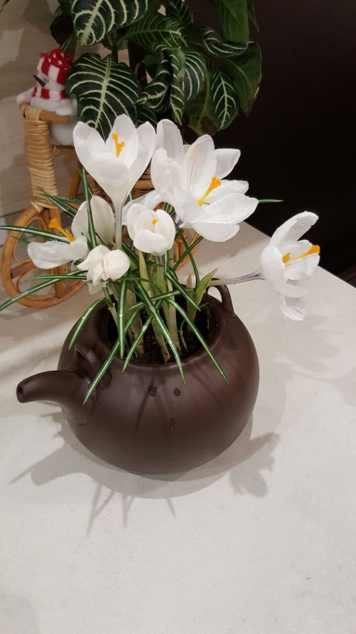 flowers 2