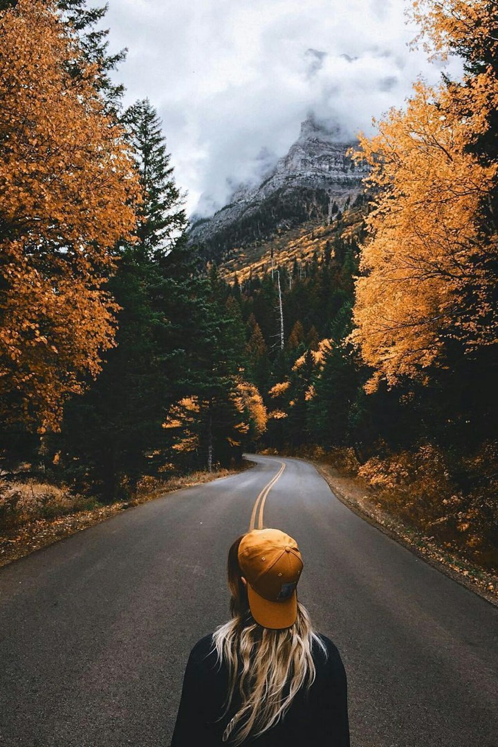 autumn colors