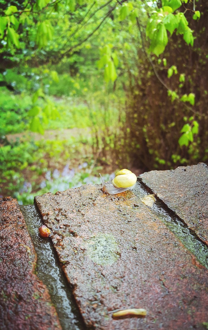 rainy day