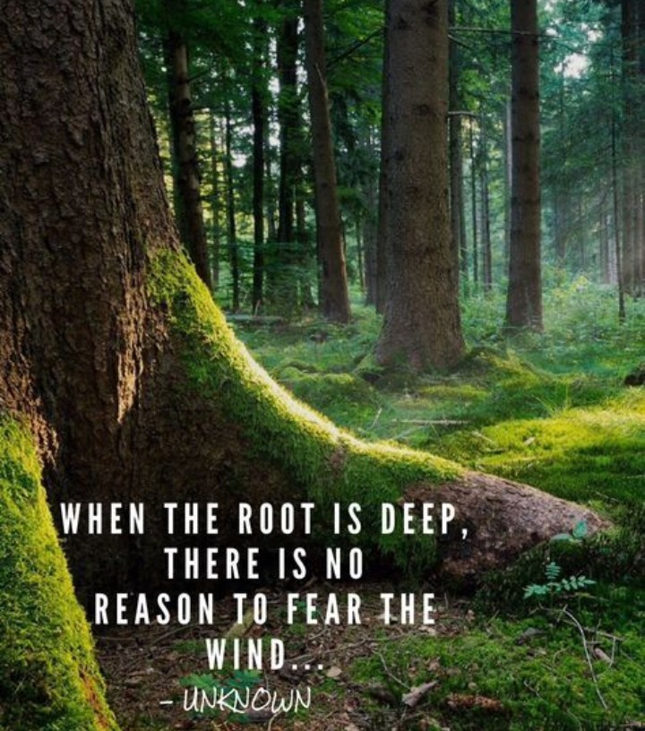 quotes