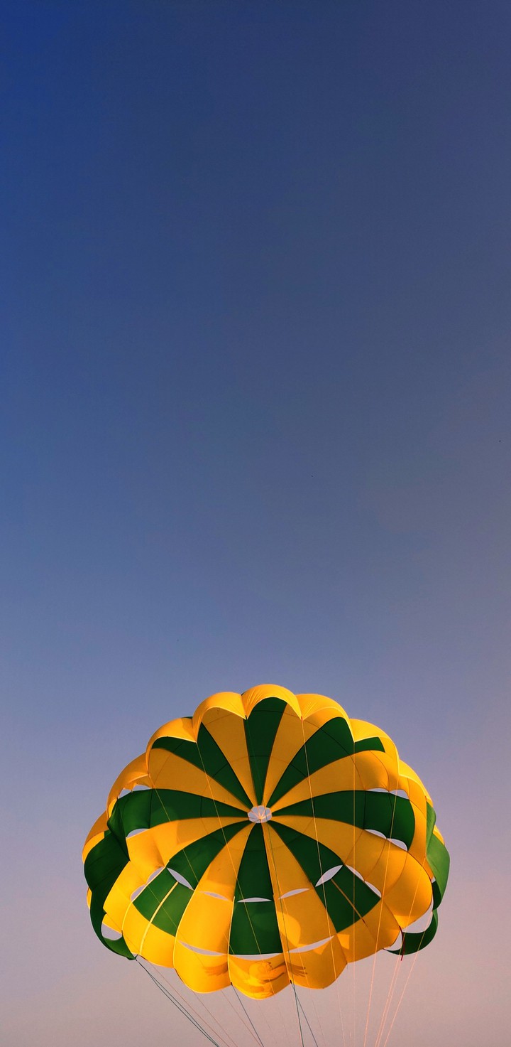 parasail wing