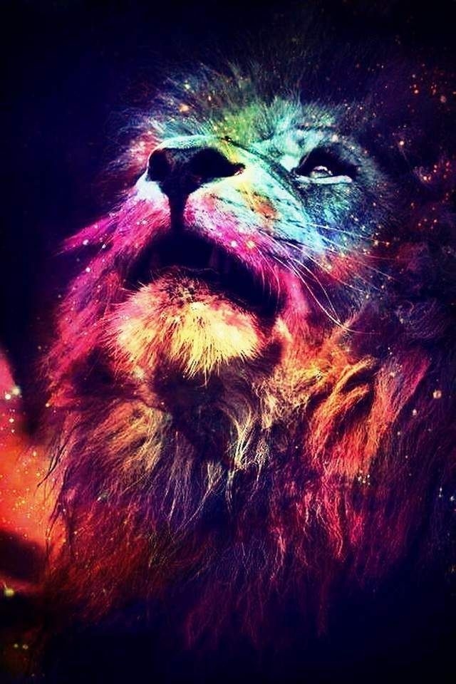 Colourful Lion