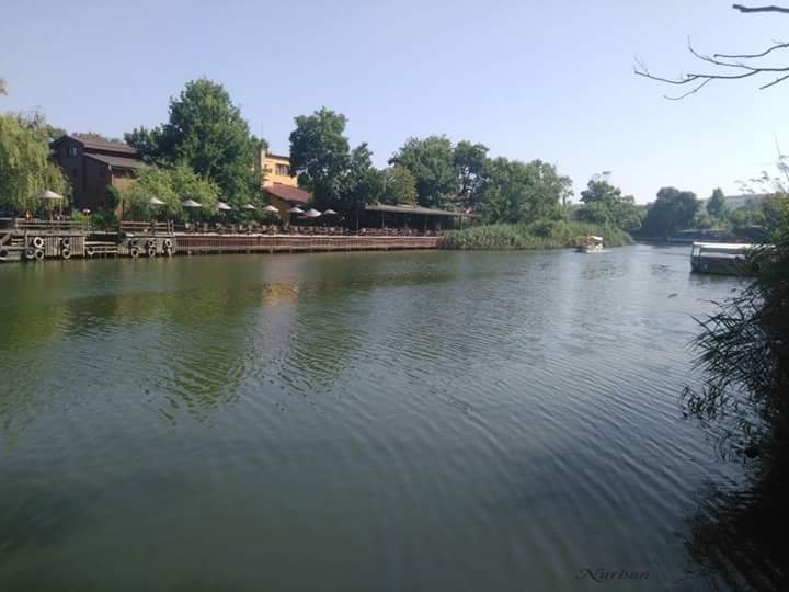 Doğa