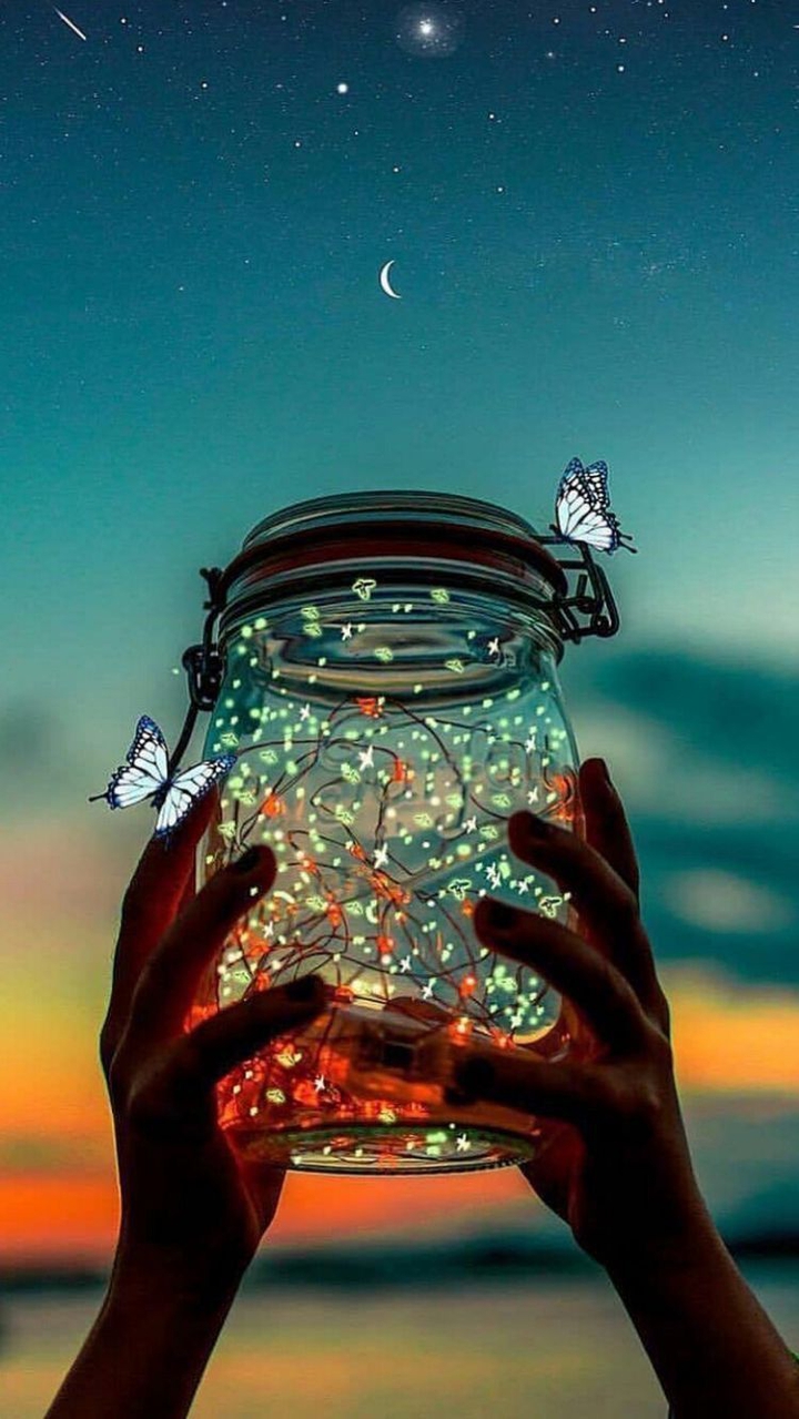 Firefly