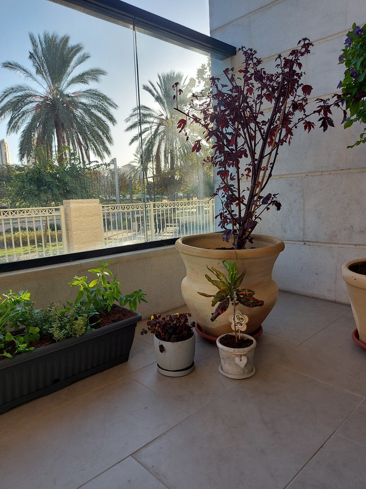 my balcony