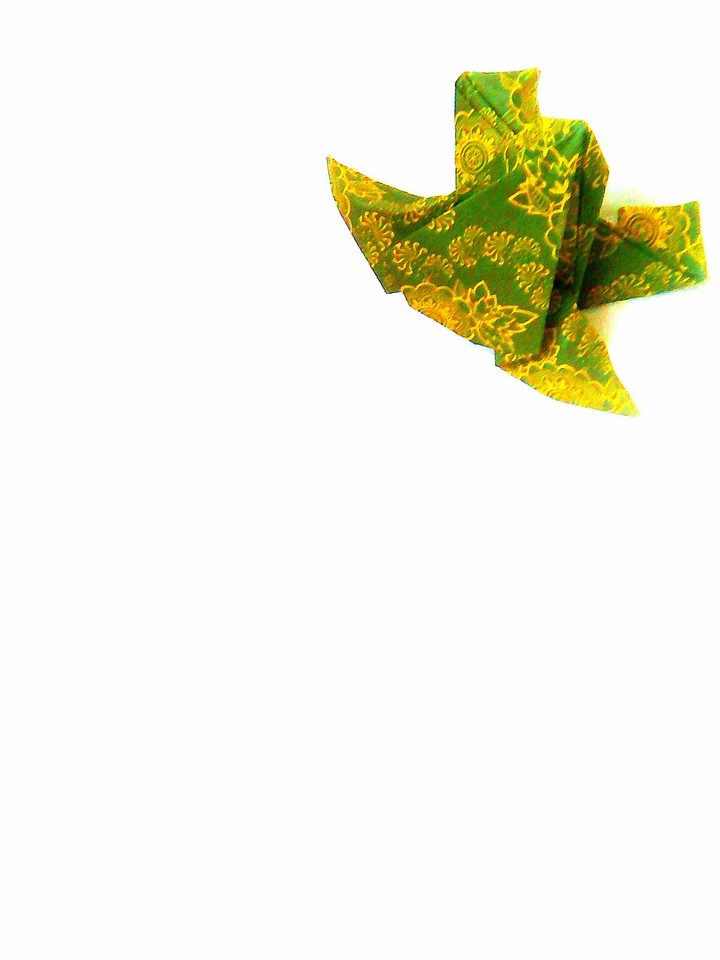 Frog origami