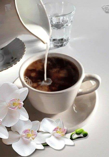 coffee