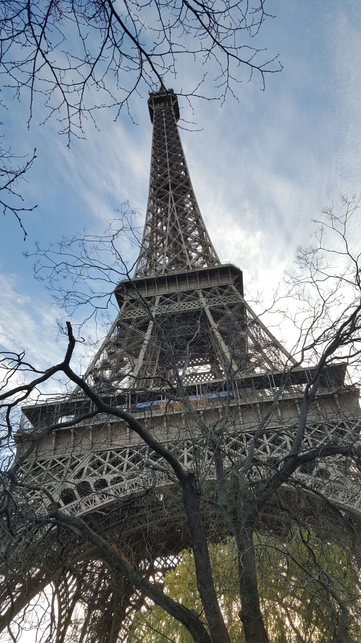Forest Eiffel